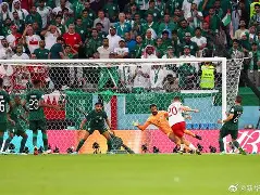 爱尔兰主场输给瑞士,出线形势雪上加霜的简单介绍 爱尔兰主场输给瑞士,出线形势雪上加霜的简单介绍