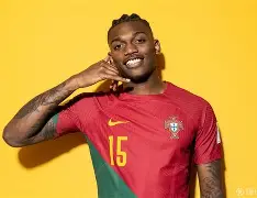 葡萄牙国家队壮丽表现,领跑小组出线的简单介绍 葡萄牙国家队壮丽表现,领跑小组出线的简单介绍