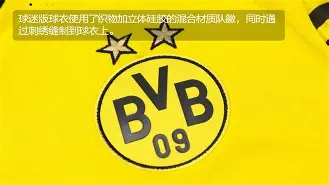 包含多特蒙德运气不佳，战绩蒙上阴影的词条