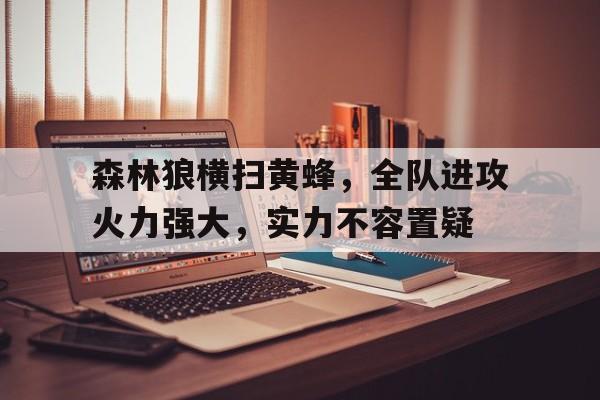 森林狼横扫黄蜂，全队进攻火力强大，实力不容置疑的简单介绍